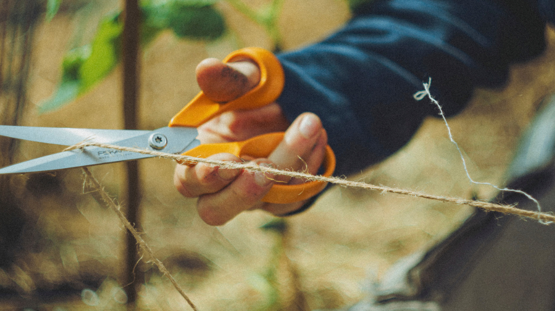 Garden tool safety when using scissors to cut garden twine outdoors.