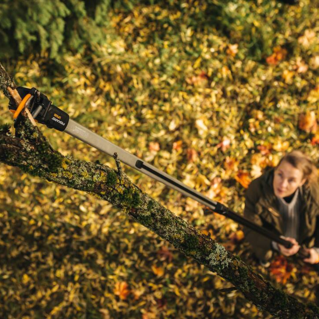 Pole pruner reaching high branches to make clean cuts during tree pruning and seasonal garden care.