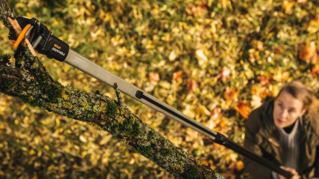 Pole pruner reaching high branches to make clean cuts during tree pruning and seasonal garden care.
