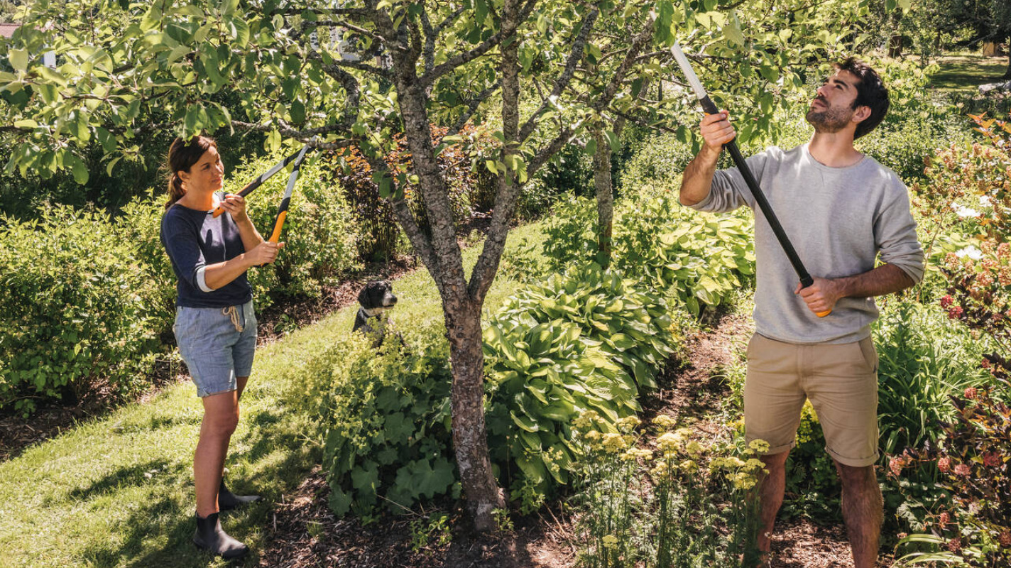 Couple pruning trees in a sunny garden using Fiskars tools – inspiring garden ideas South Africa