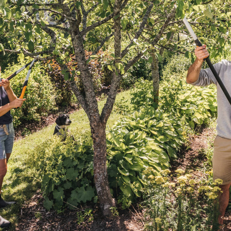 Couple pruning trees in a sunny garden using Fiskars tools – inspiring garden ideas South Africa