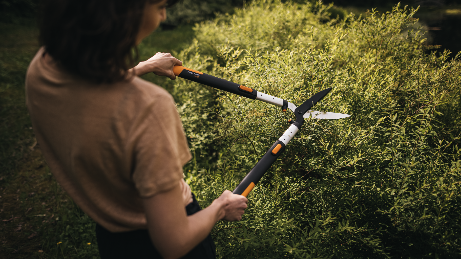 Manual hedge shears trimming a dense green hedge for precise garden shaping