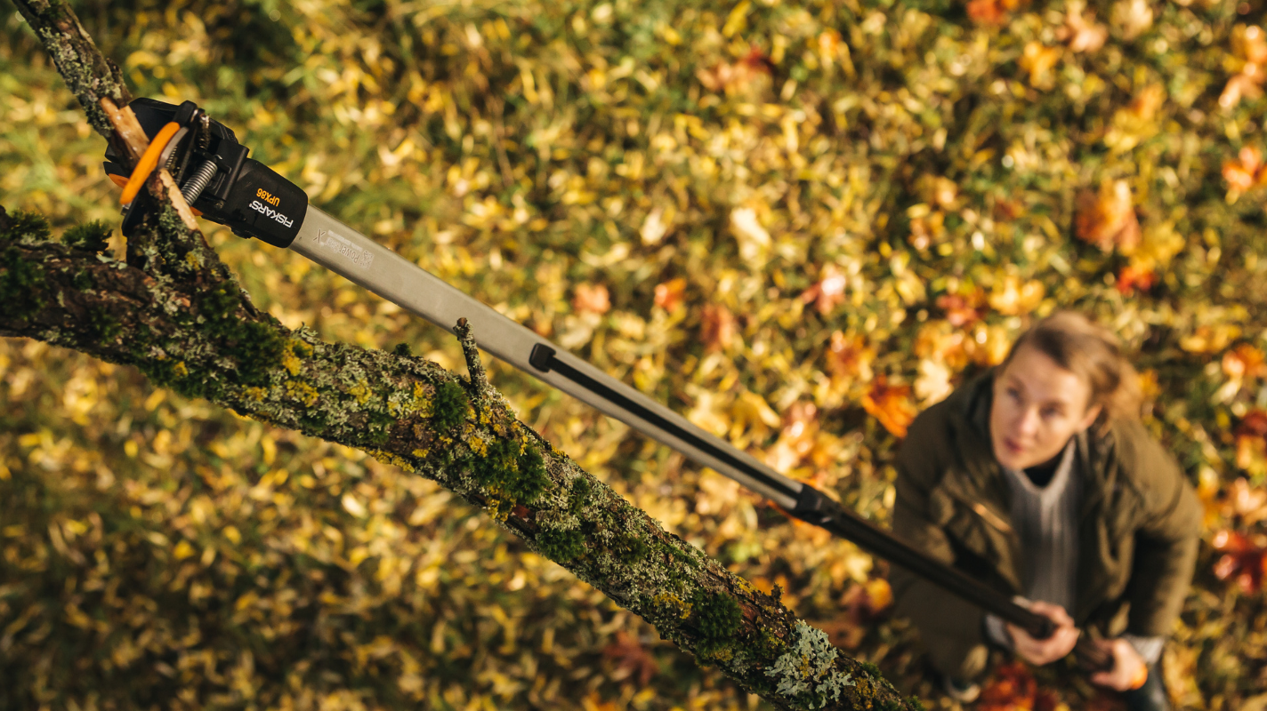 List of garden equipment highlighting a tree pruner for cutting high branches