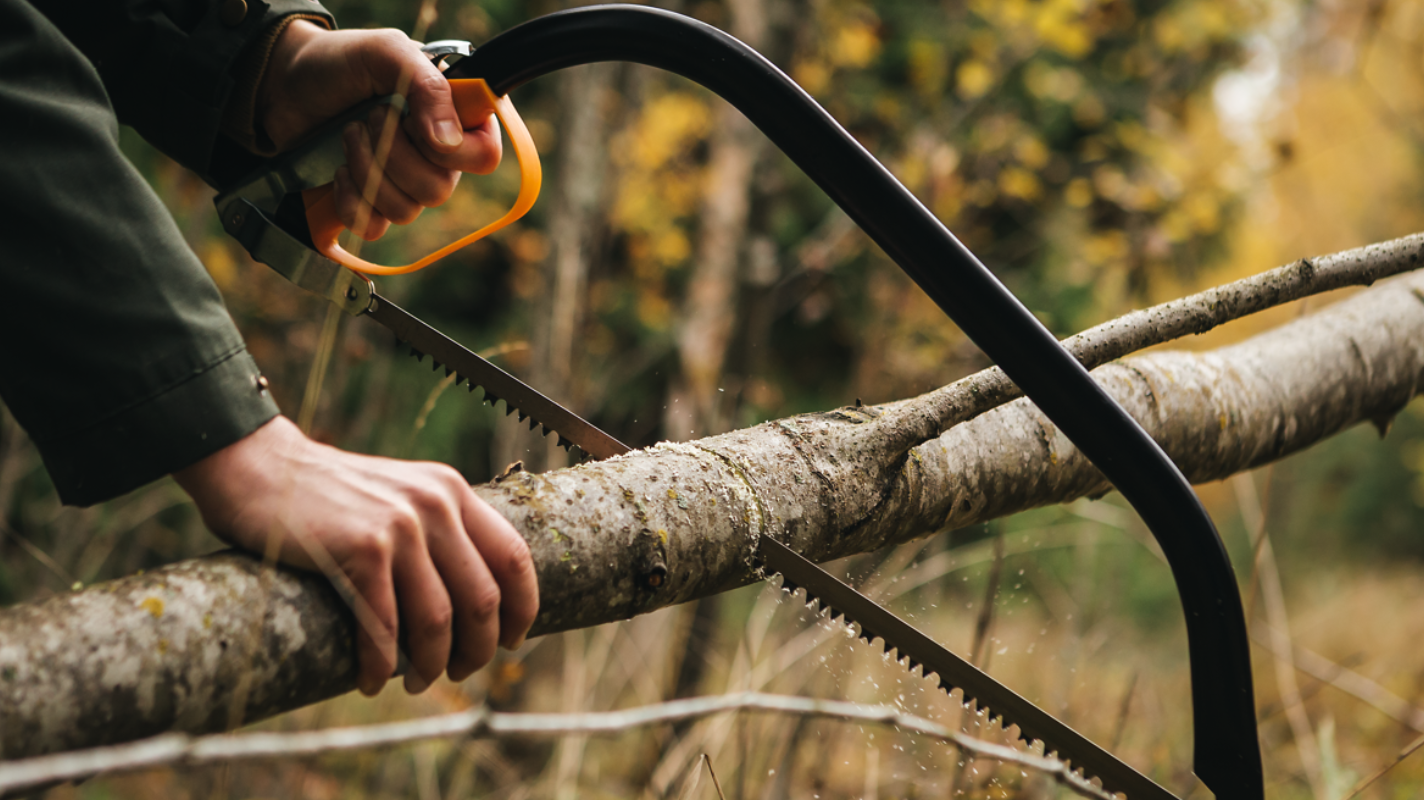 Hand saw cutting through a large tree branch for efficient pruning and outdoor wood-cutting tasks.