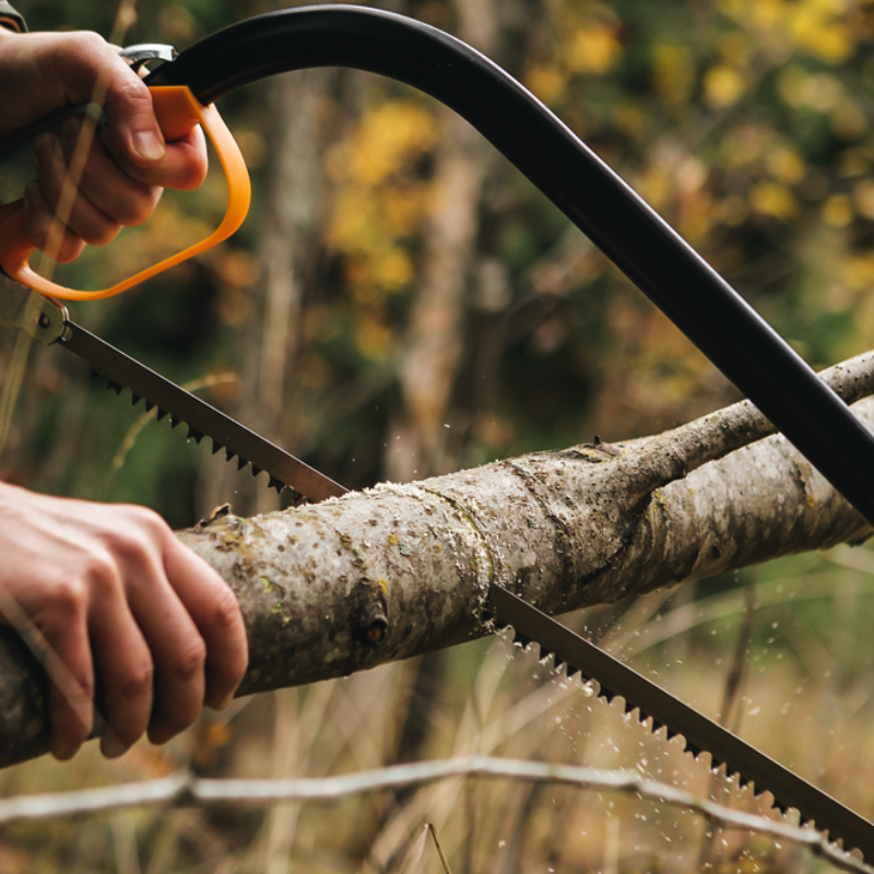 Hand saw cutting through a large tree branch for efficient pruning and outdoor wood-cutting tasks.
