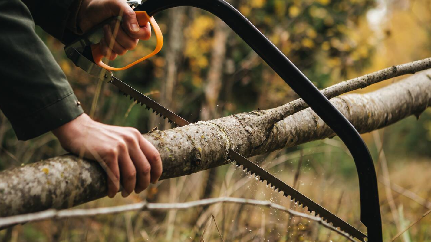 Tree cutting saw cutting a fallen branch during garden maintenance