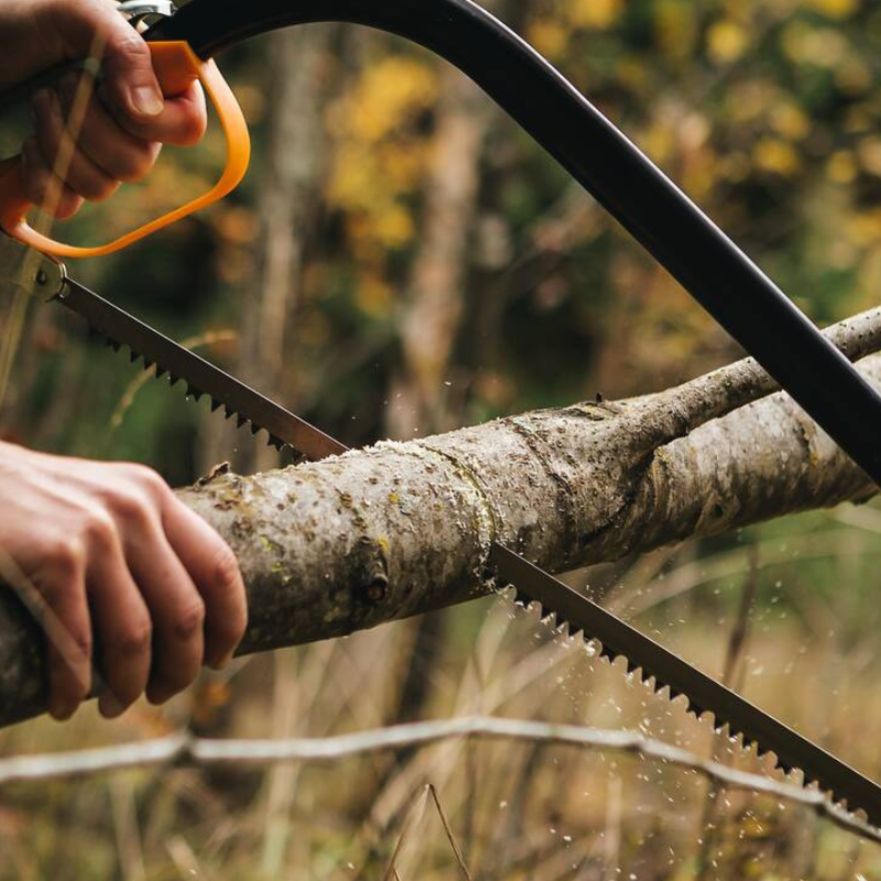Tree cutting saw cutting a fallen branch during garden maintenance