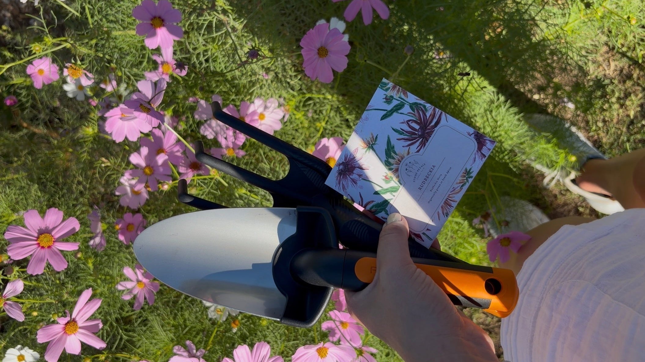 Analog hobbies like gardening begin with hand tools, seed packets and planting flowers outdoors.