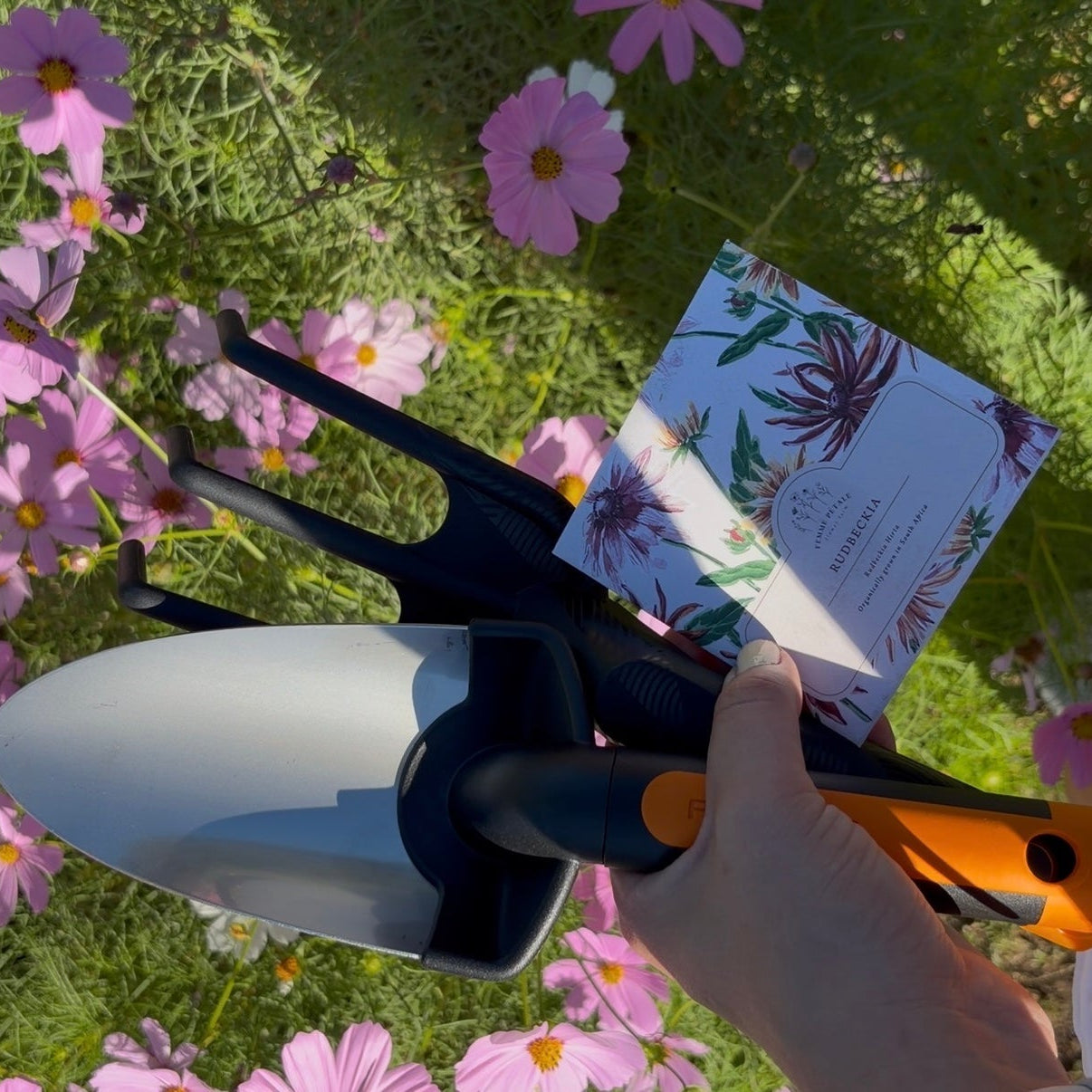 Analog hobbies like gardening begin with hand tools, seed packets and planting flowers outdoors.
