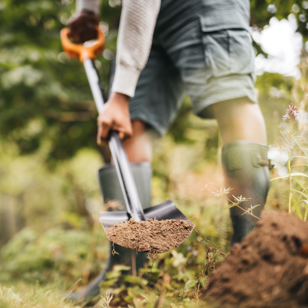 garden spade being used for soil care