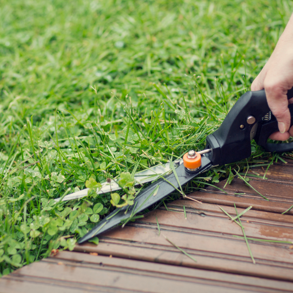 Lawn Care tools