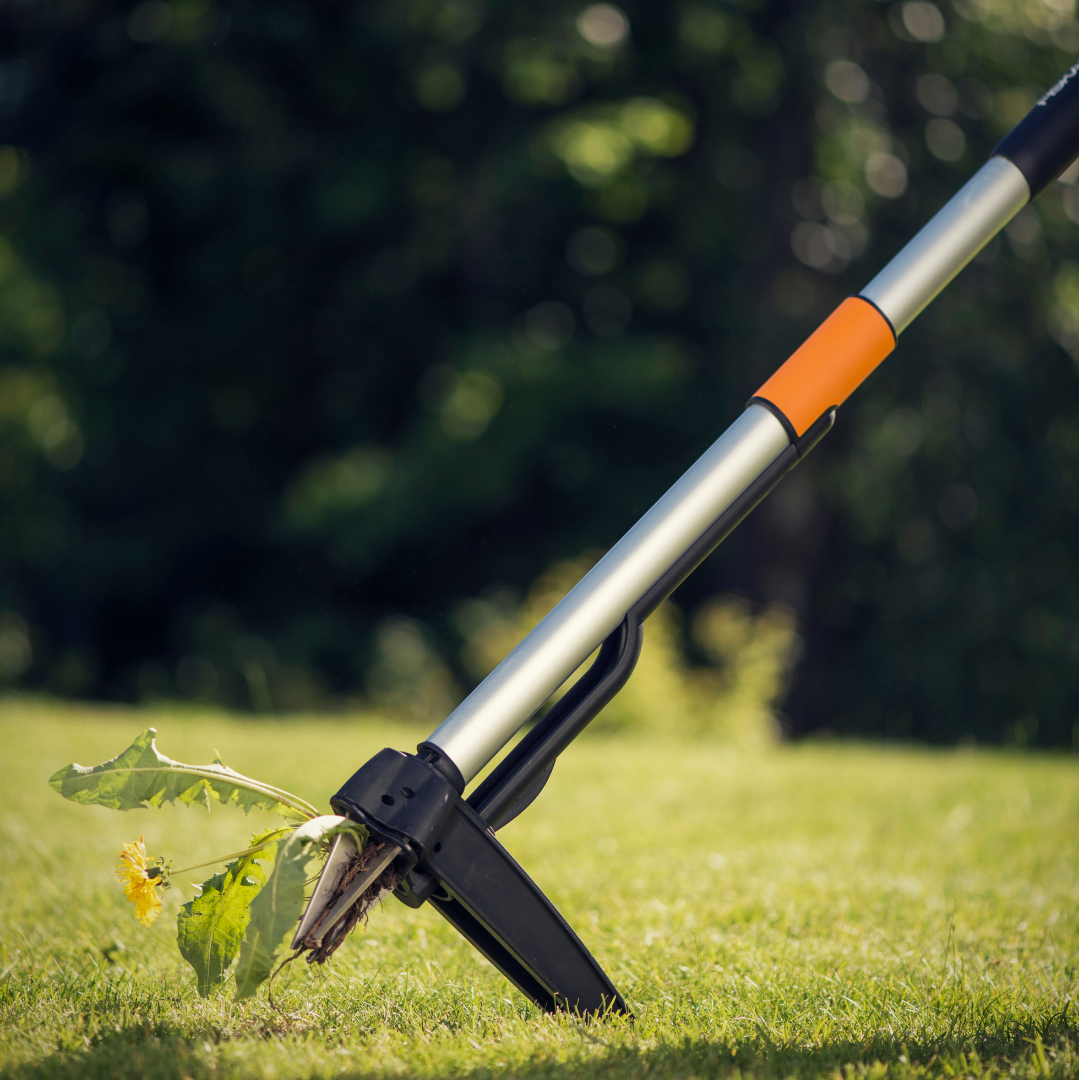 Gardening tool cutting grass with a blurred green background