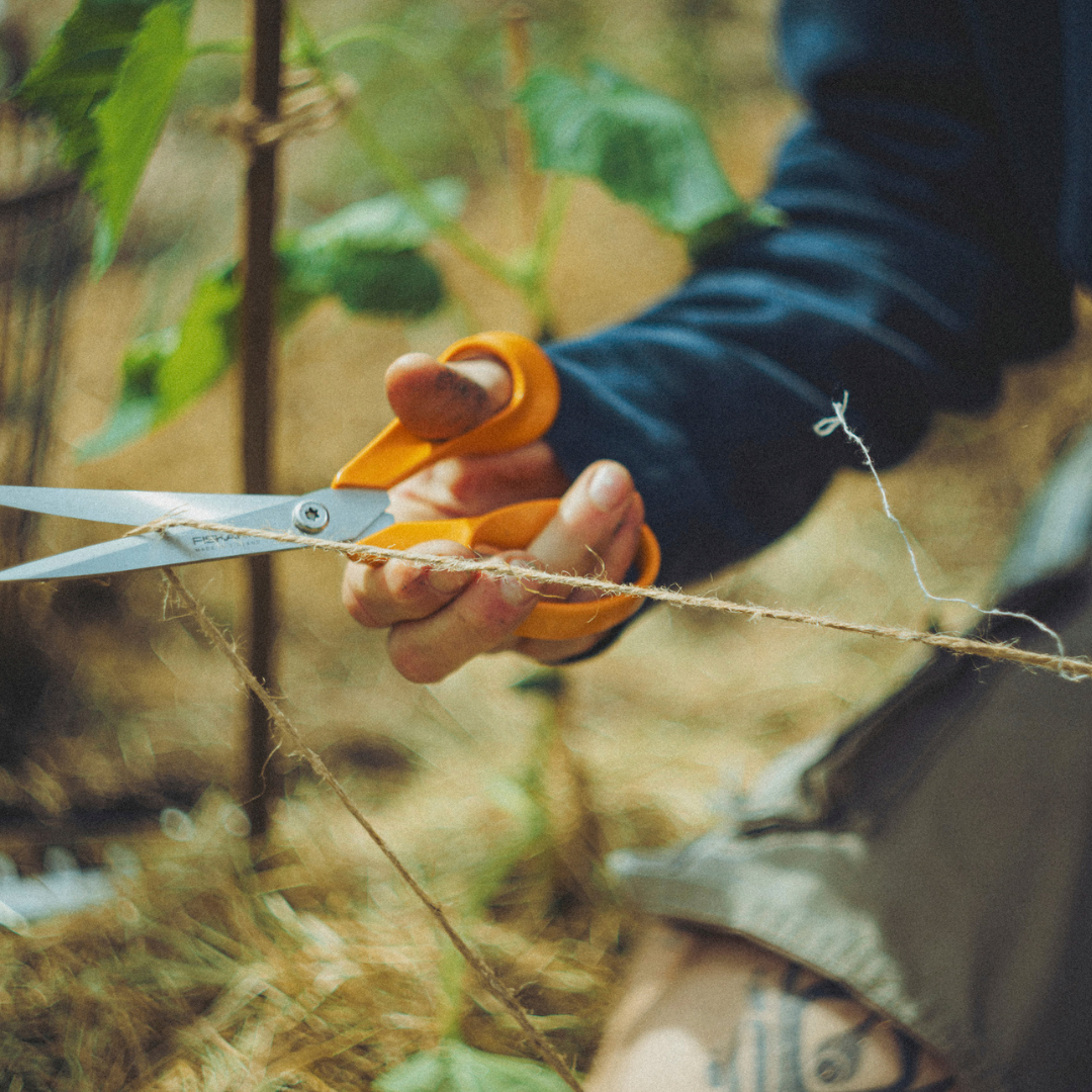 Garden tool safety when using scissors to cut garden twine outdoors.