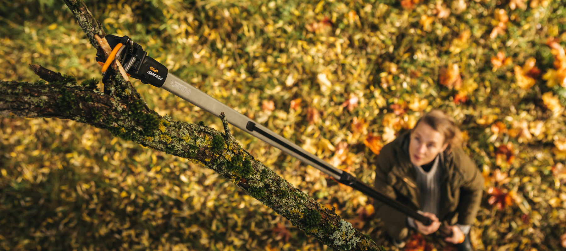 List of garden equipment highlighting a tree pruner for cutting high branches