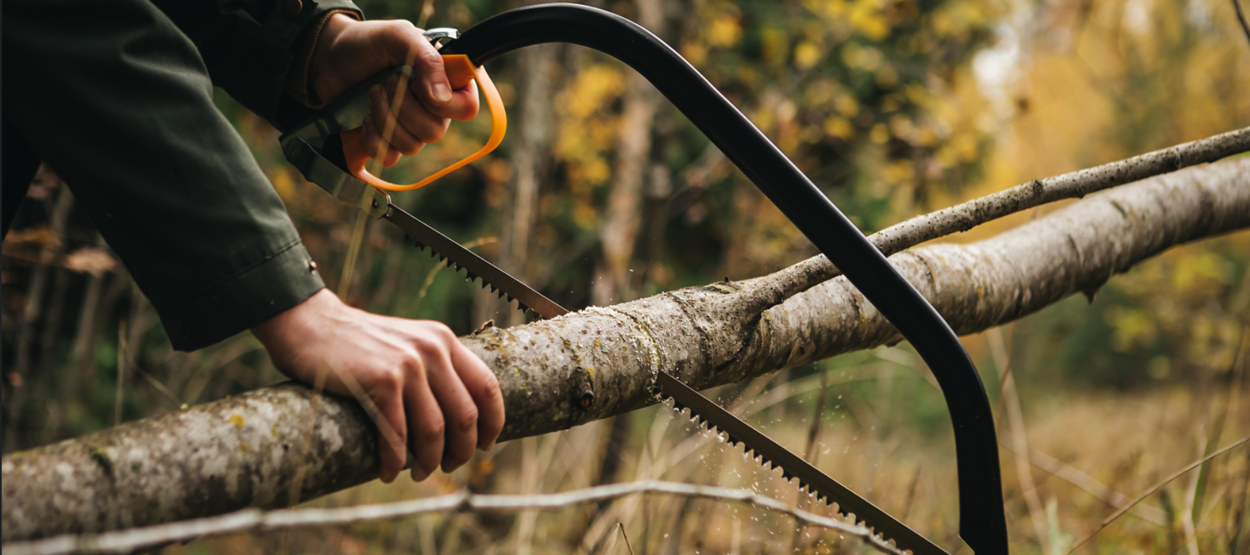 Hand saw cutting through a large tree branch for efficient pruning and outdoor wood-cutting tasks.