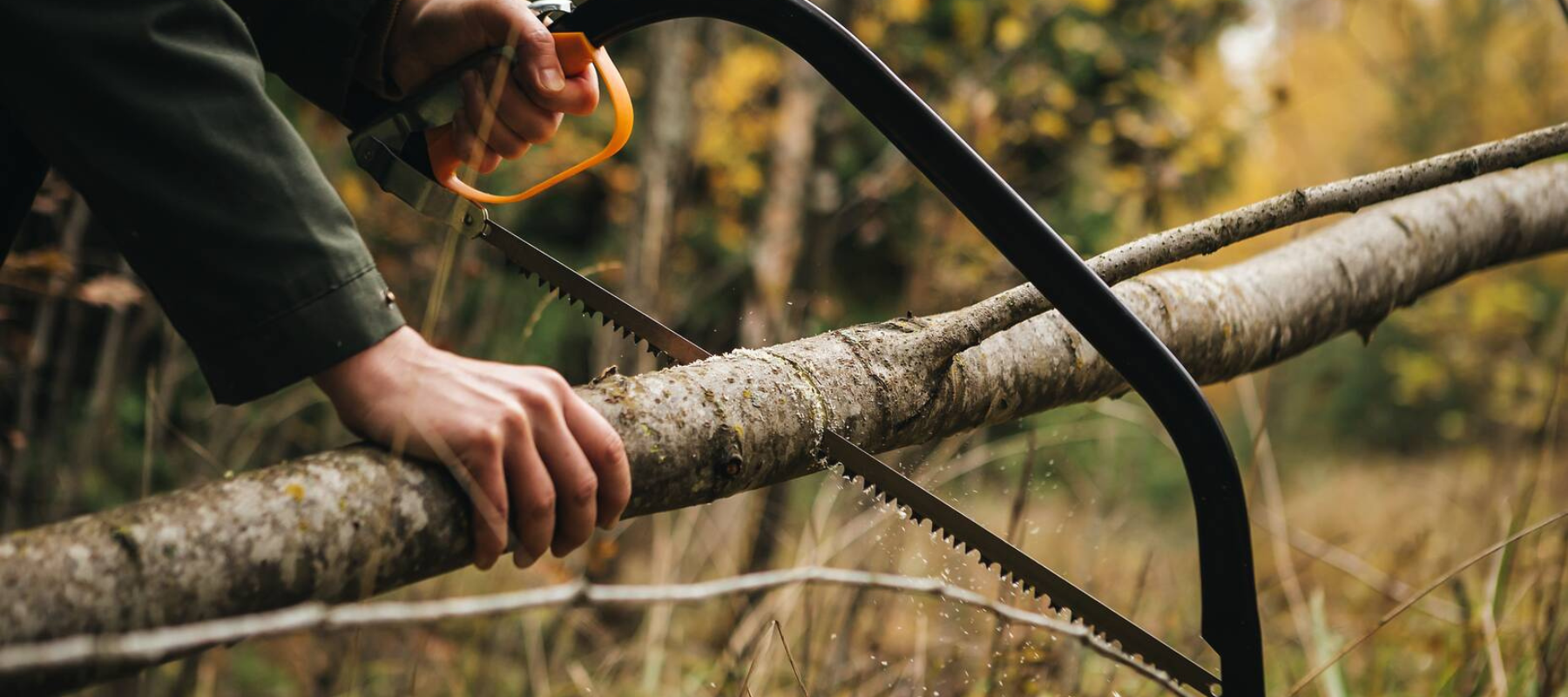 Tree cutting saw cutting a fallen branch during garden maintenance