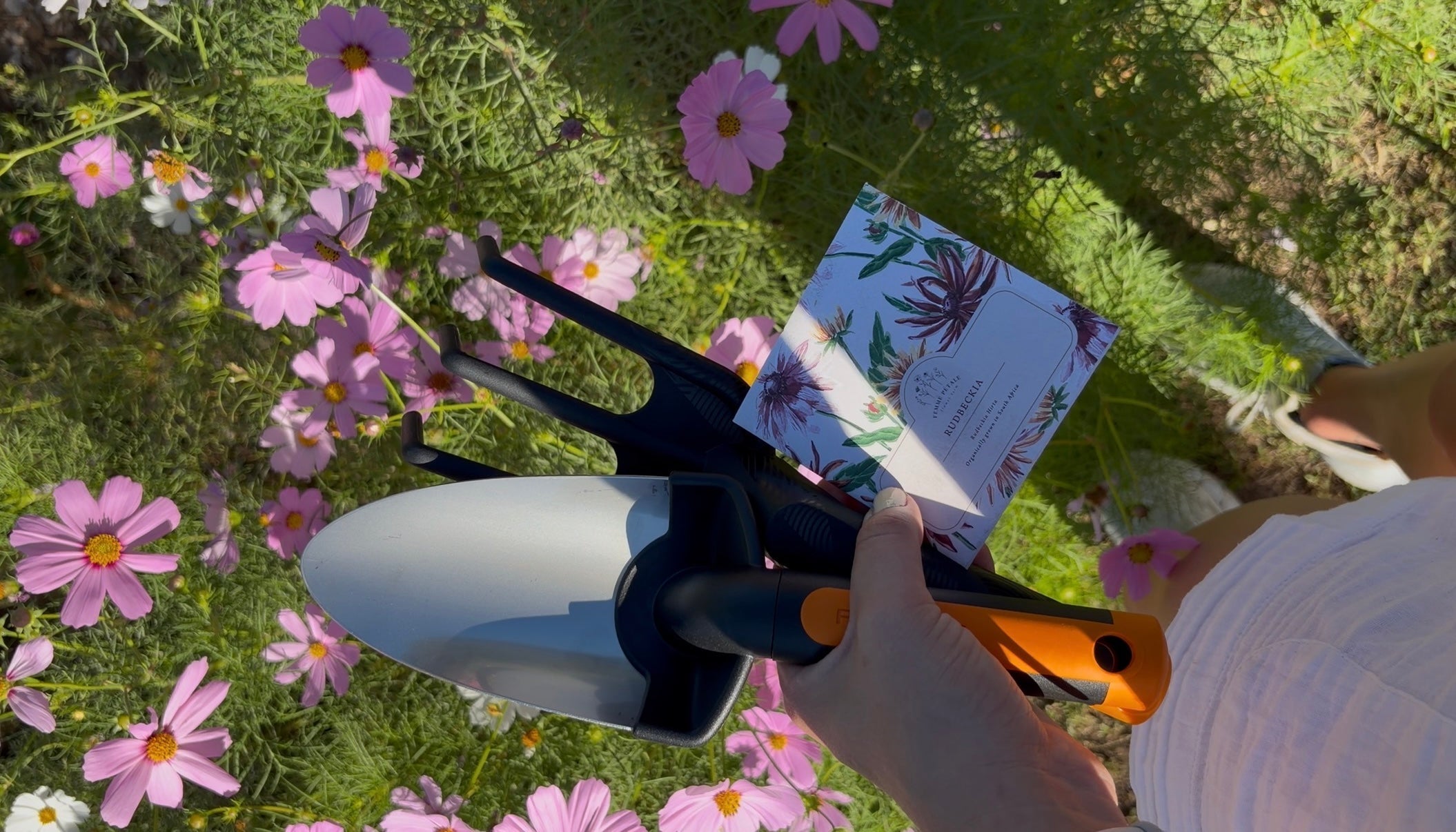 Analog hobbies like gardening begin with hand tools, seed packets and planting flowers outdoors.