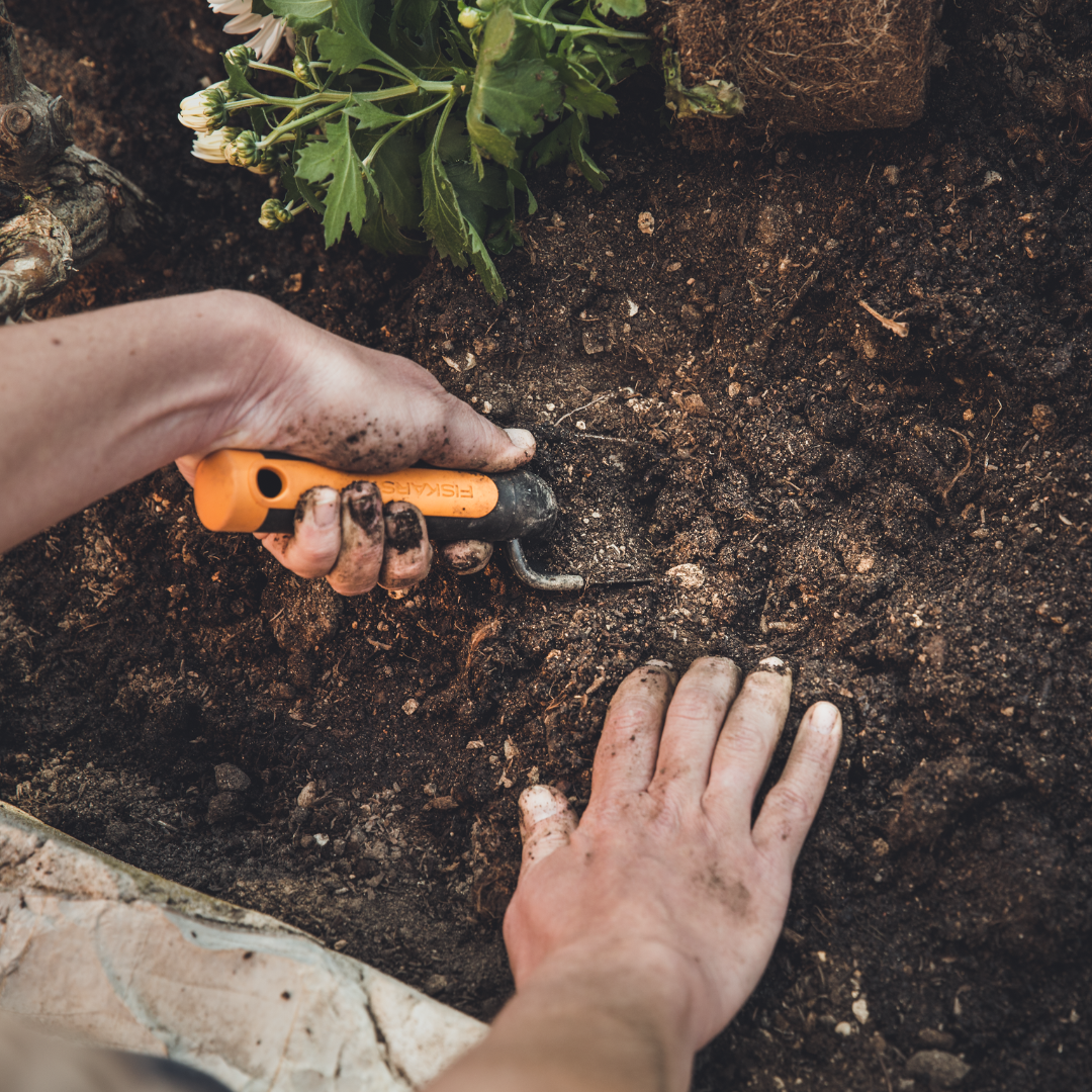 Weed Removal Tools for Lawns and Gardens