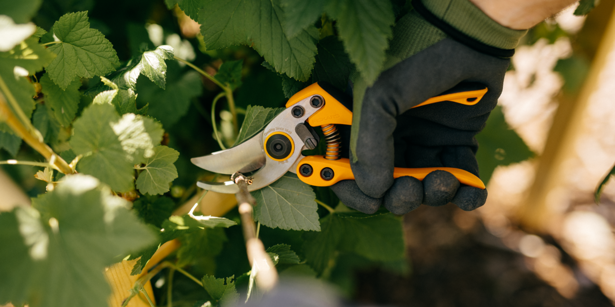 Fiskars garden tools pruning shears cutting green plant stems in a home garden