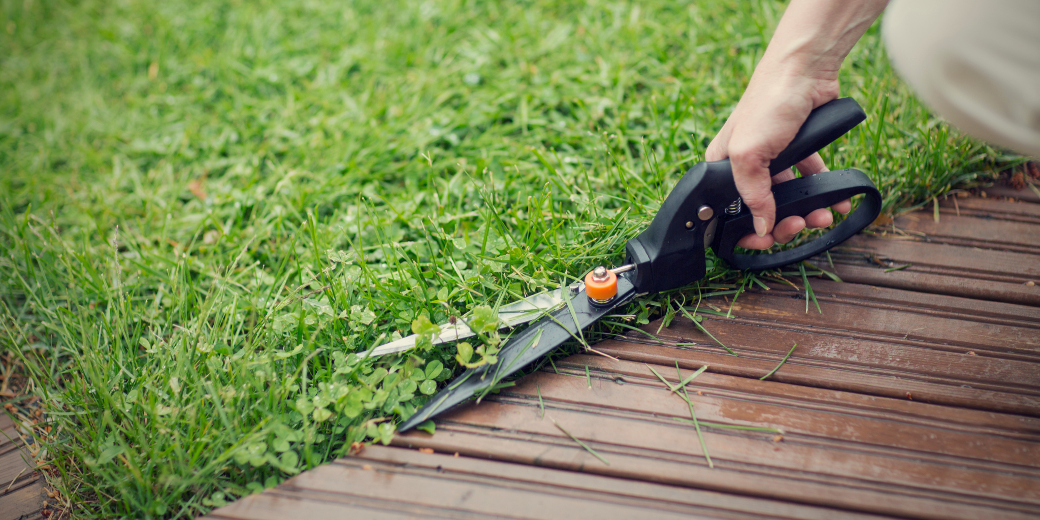 Lawn Care tools