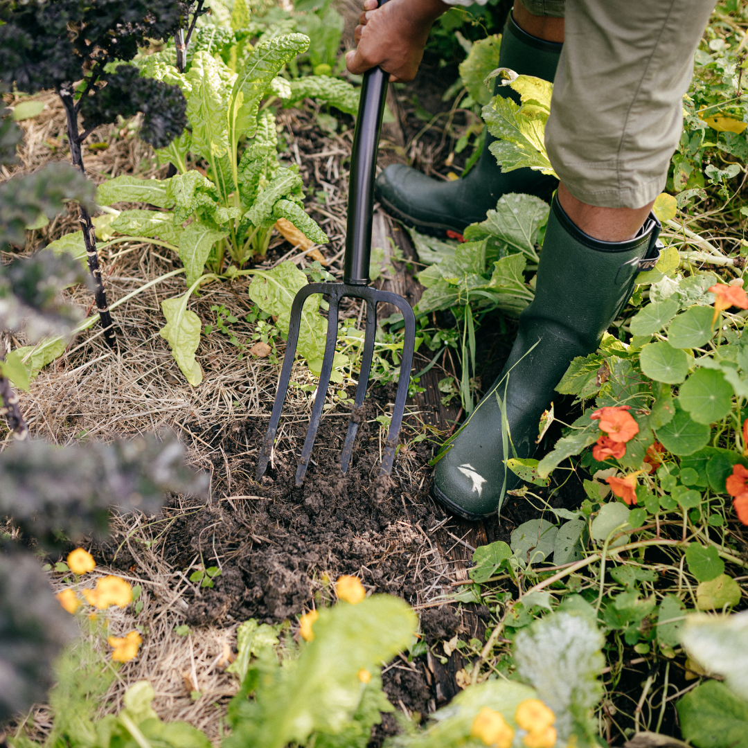 Person using a Fiskars garden fork to loosen and turn soil in a vegetable garden.
