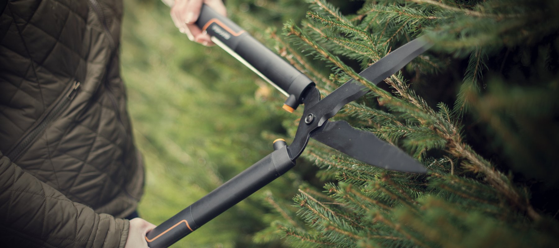 Hedge Shears