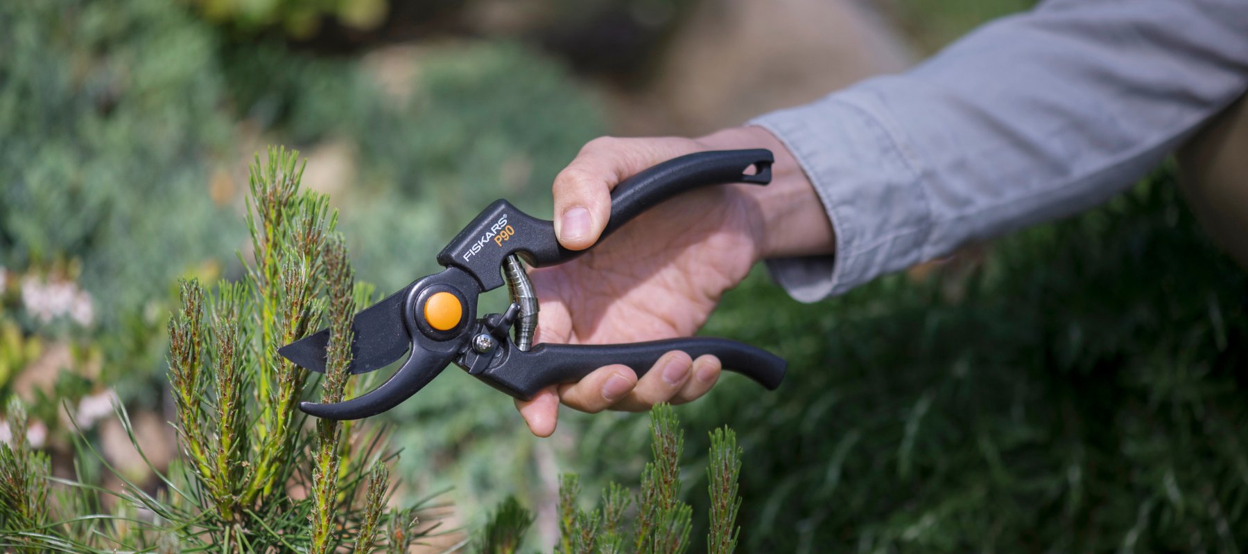 Pruning Shears