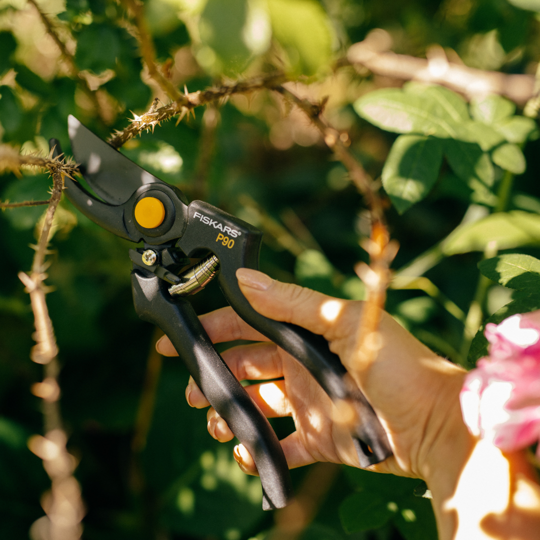 Fiskars pruners for plant care