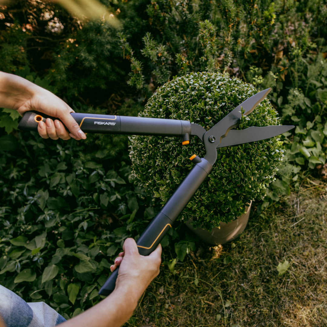 Fiskars shears for trimming hedges and shrubs