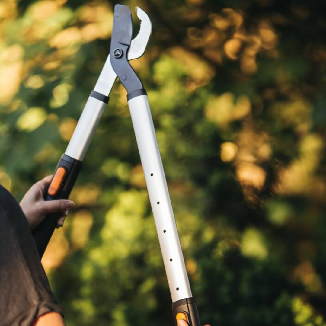 Fiskars garden tools for gardening at home