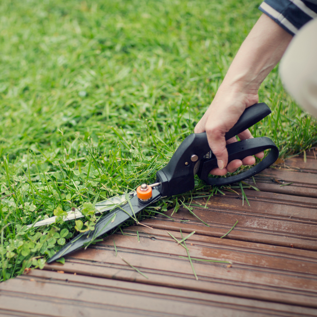 Fiskars grass shears for home lawn edges