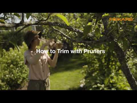 What a Bypass Pruner Cannot Cut